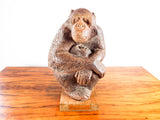 Vintage Clay Sculpture of Chimpanzee Mother & Child by Eda Martinek Henry