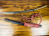 Antique 19th C Burmese Sword Widening Blade Dha With Scabbard