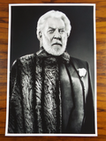 Original 12 Photo Portfolio The Hunger Games Catching Fire Portraits Tim Palen