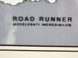 Vtg Framed Road Runner Wile E Coyote Sericel Chuck Jones Authenticated Beep Beep
