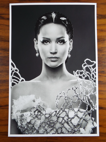 Original 12 Photo Portfolio The Hunger Games Catching Fire Portraits Tim Palen