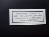 Original 12 Photo Portfolio The Hunger Games Catching Fire Portraits Tim Palen