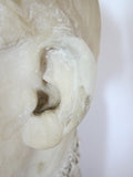 Vintage Carved Male Bust Sculpture - George Bernard Shaw - Yesteryear Essentials
 - 6