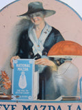 Vintage Advertising, National Mazda Buckeye Mazda Lamps Metal Display Advertising - Yesteryear Essentials
 - 12