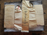 Group of 5 Ohio WCTU Prohibition Ribbons - Yesteryear Essentials
 - 5