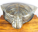 Vintage Signed Sergio Bustamante Lifesize Tiger Head Copper & Brass Sculpture 12/100 - Yesteryear Essentials
 - 3