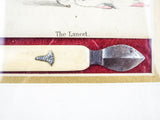 Rare Antique Victorian Medical Surgical Bleeder Knife Lancet Tool by Rodgers Cutlers to Her Majesty