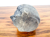 Antique Stone Basalt Carved French Head Phrygian