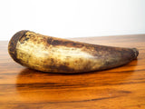 Antique American Revolutionary War 18th C Gun Powder Horn