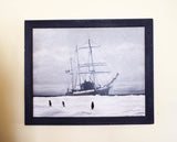 Antique USN Oil on Canvas Painting USS Bear Coast Guard Cutter Jessie A Yandell