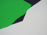 Vintage Original Lithograph Signed Abstract Art Jean Miotte 166/260 Summer