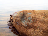 Native American Beaded Leather Moccasins ~ Plains Tribes