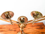 Antique Brass Menorah Adjustable Seven Arm Temple Candlestick Candle Holder
